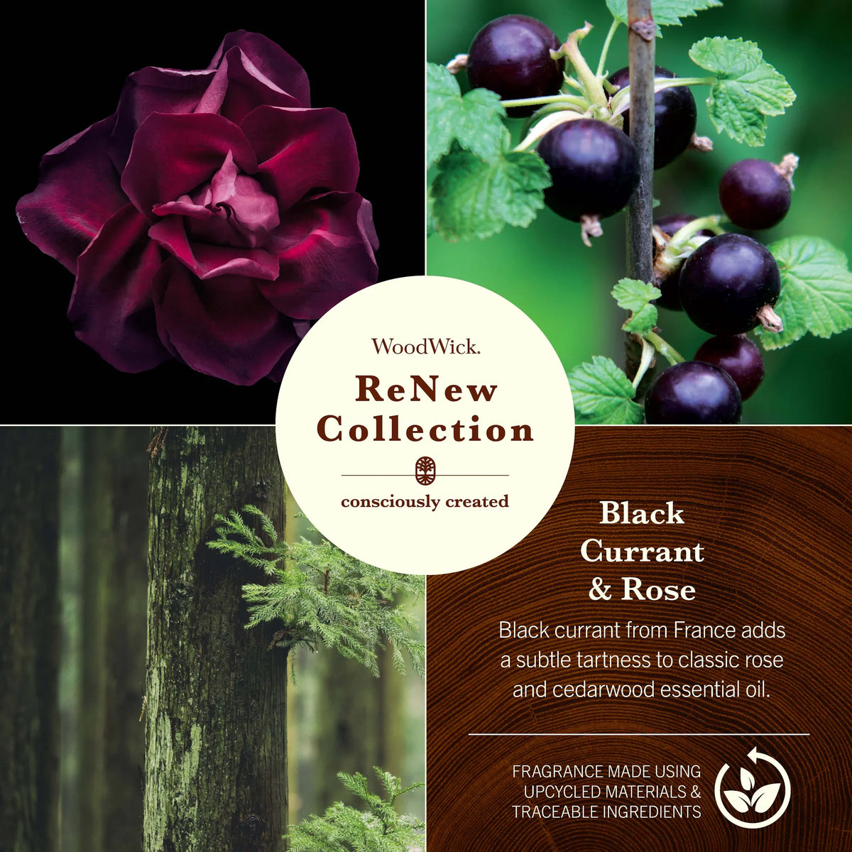 Black Currant & Rose Medium ReNew Candle
