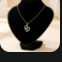 Preserved Rose And Necklace 2