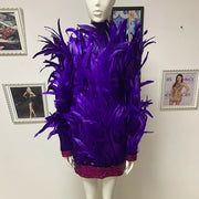 Women's Purple Luxury Feather Long Sleeve Sequin Patched Open Back Sexy Mini Dress Elegant Celebrity Party Dress