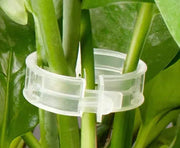 Plant Support Clips for Vines — 100 Pack
