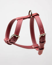 Gabriele – H-Shaped Leather Dog Harness