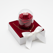 Preserved Rose And Necklace|Fast Delivery